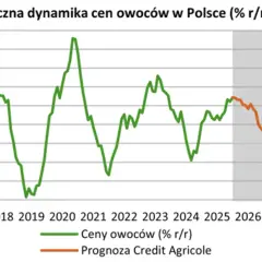 Prognozy cen truskawek 2026: Czy rekord 10 zł/kg się powtórzy?
