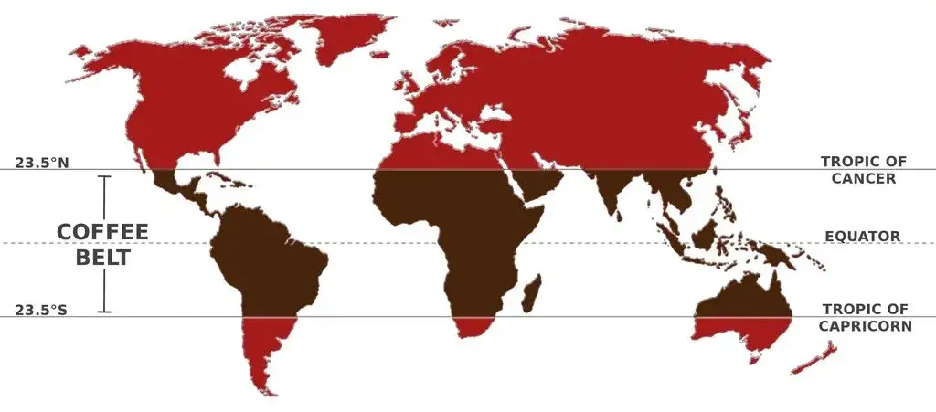 Najlepsze kawy świata ranking mapa regionów