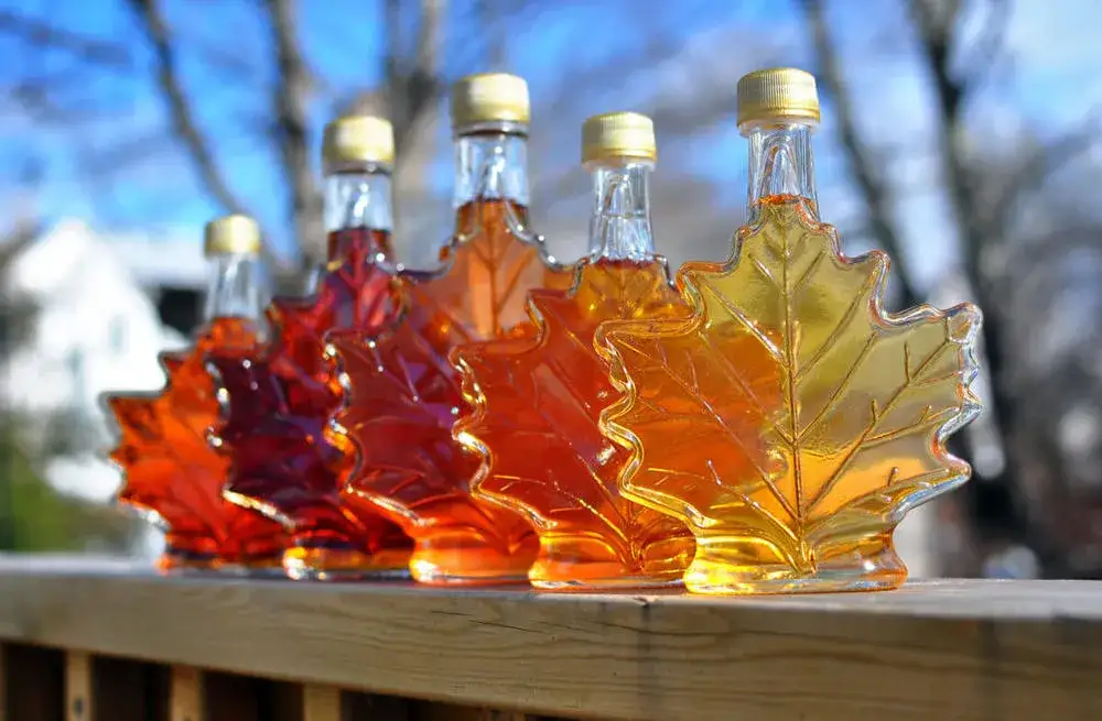 ikoniczne kanadyjskie produkty spożywcze syrop klonowy ice wine łosoś